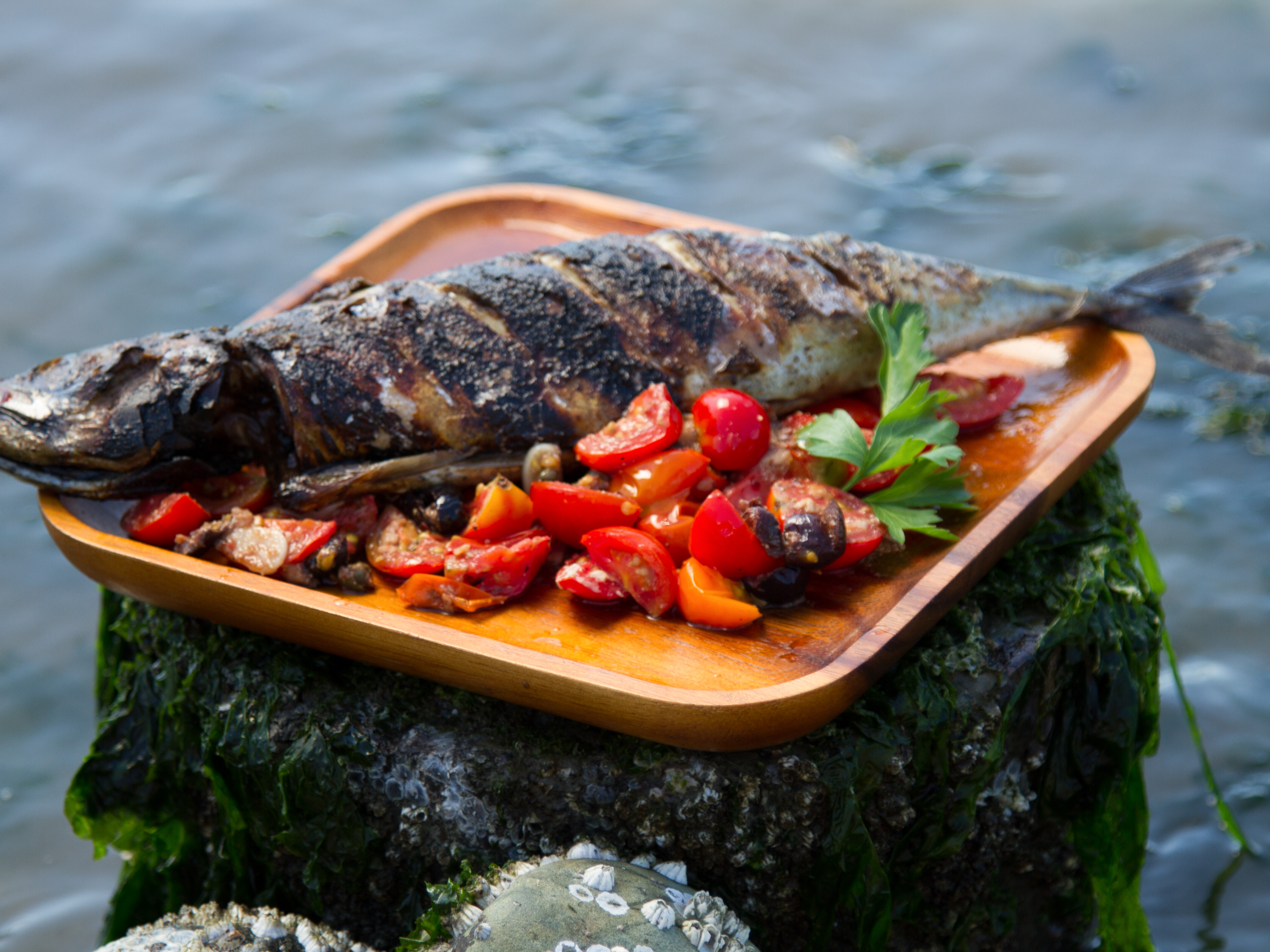 Grilled Mackerel with Sicilian-Style Tomato Sauce Recipe